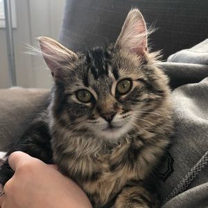 Meet your Posher, Faye